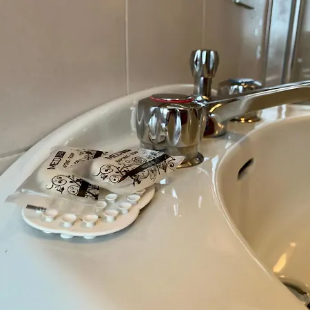 Mamma Ciccia - Front Apartment, And Swimming Pool * Lierna